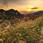 Four Points By Sheraton Pádua