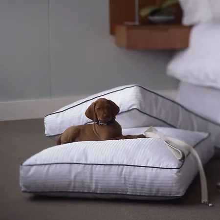 Hotell Four Points By Sheraton 4*