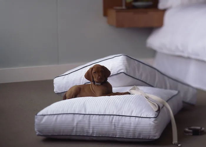 호텔 포 포인츠 바이 쉐라톤 4*