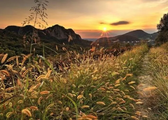 포 포인츠 바이 쉐라톤 파도바